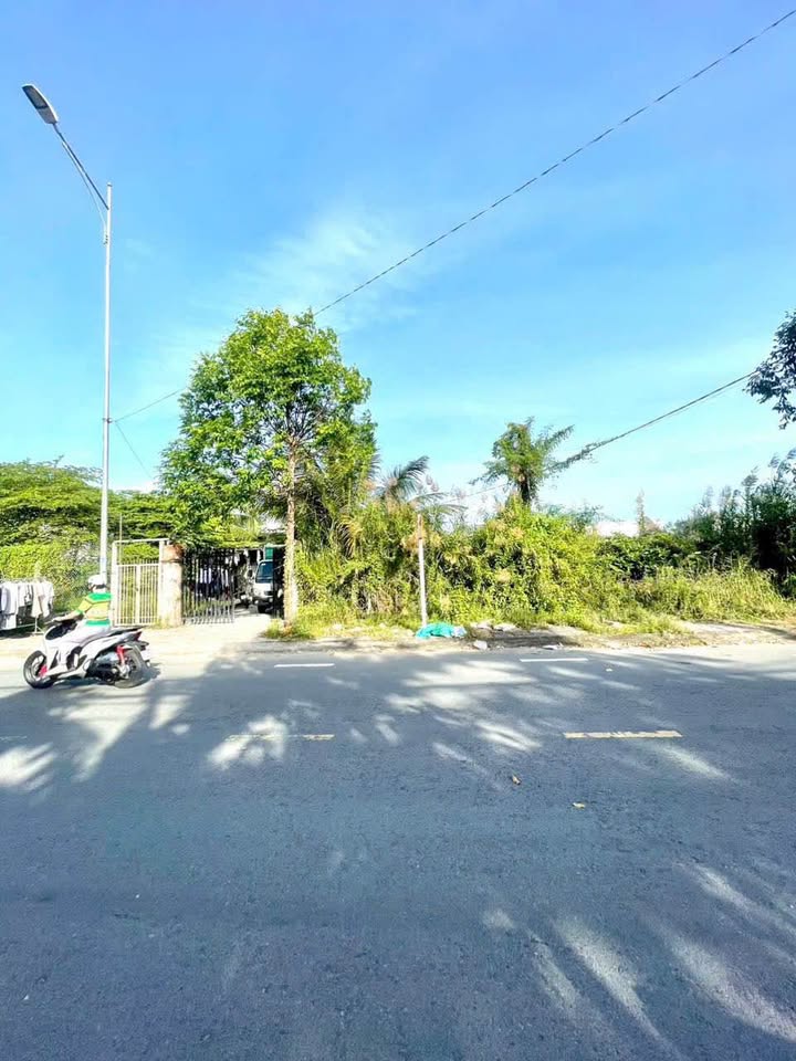 Đất mặt tiền đường Nguyễn Thông, Bình Thủy, 85m² giá 3.2 tỷ - Đầu tư sinh lời tiềm năng!