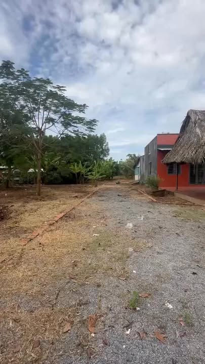 Đất nền Sông Thao, Trảng Bom 1200m² giá 1.55 tỷ - Cơ hội đầu tư hấp dẫn!