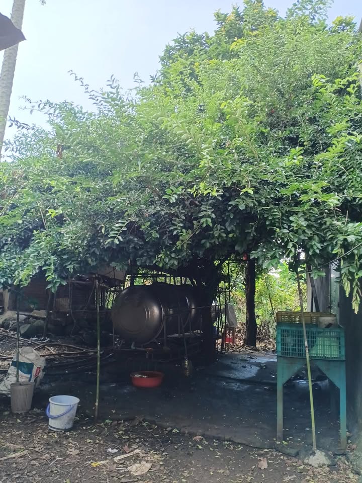 Đất nền 5380m² tại ấp 6 Vĩnh Tân, giá 7 tỷ - Cơ hội đầu tư tuyệt vời!