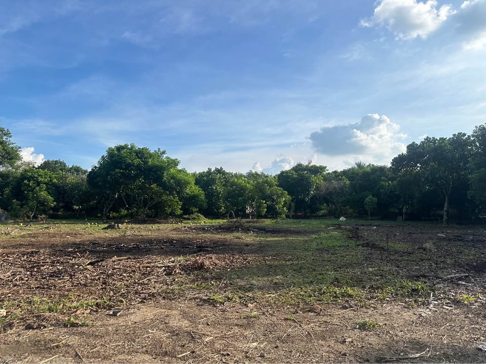 Đất nền Ấp 1 Bình Lộc Long Khánh 102m² giá 790 triệu - Cơ hội đầu tư sinh lời!