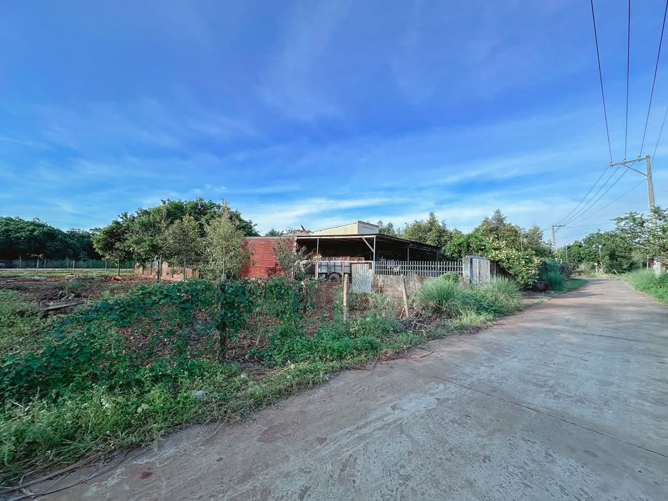 Đất nền phường Bình Lộc 195m² giá 1.35 tỷ - Sổ riêng, thổ cư toàn bộ!