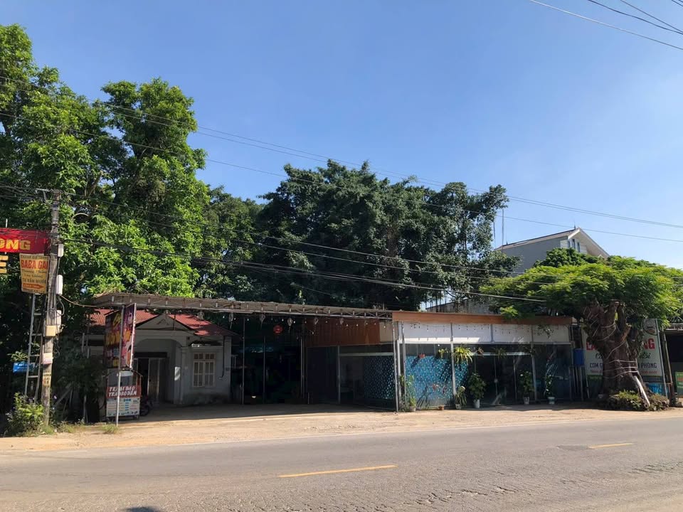 Cho thuê mặt bằng kinh doanh Tản Lĩnh, Ba Vì, 1000m² - Chính chủ cần cho thuê!