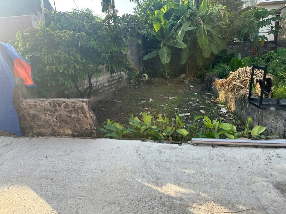 Đất nền Tốt Động, Chương Mỹ 60m² giá 1.6 tỷ - Cơ hội đầu tư hấp dẫn!