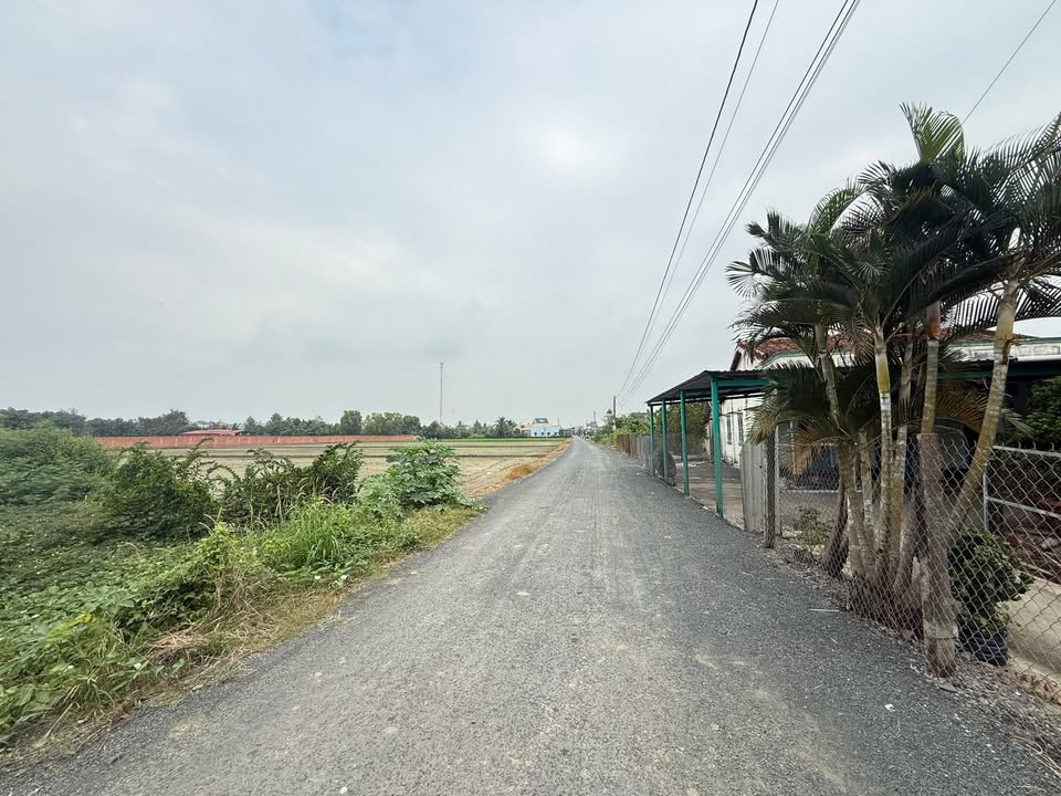 Đất thổ cư 600m² tại xã Mỹ Lộc - Giá chỉ 5 tỷ, cơ hội đầu tư tuyệt vời!