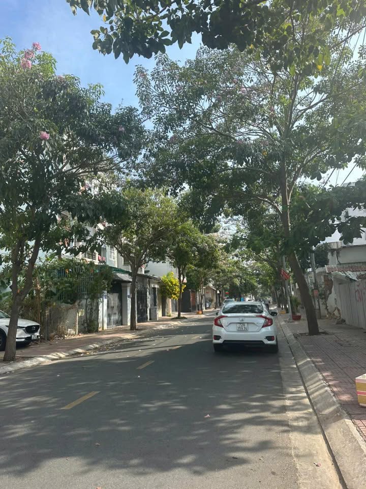 Đất mặt tiền đường tại trung tâm P8, Vũng Tàu 150m² giá 12.5 tỷ - Đầu tư sinh lời ngay!