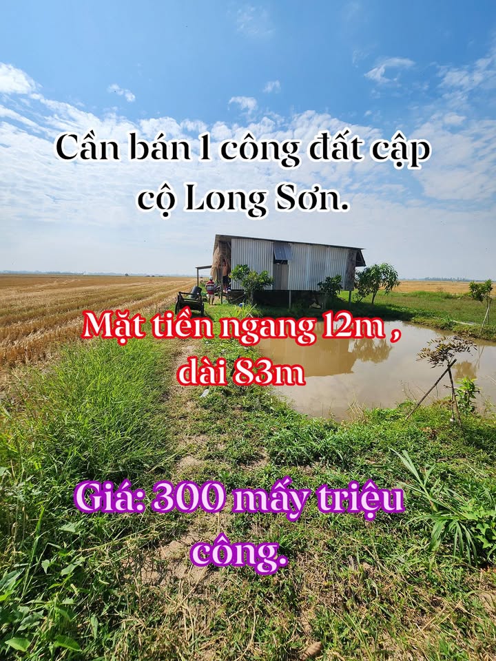 Đất vườn chính chủ 1000m² tại Long Sơn, Tân Châu - Giá 300 triệu, thương lượng thoải mái!