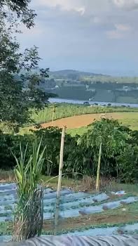 Đất Phúc Thọ Lâm Hà 3125m² giá 2.15 tỷ - Vị trí đẹp, pháp lý rõ ràng!