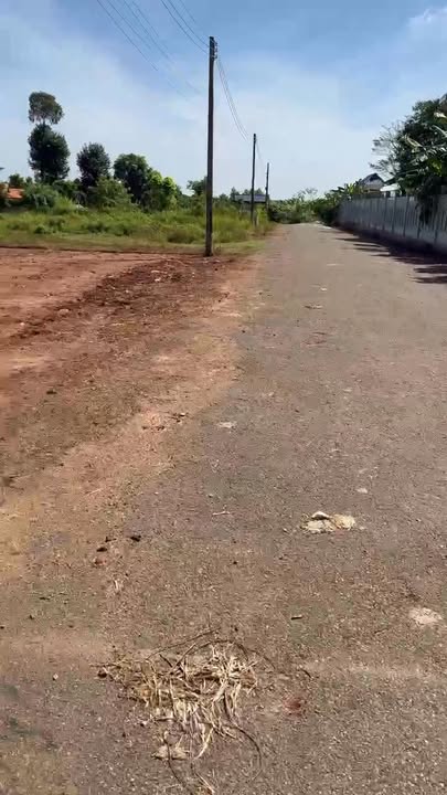 Đất Sào Long Phước 360m² giá 1.45 tỷ - Khu nhà vườn biệt thự yên tĩnh!