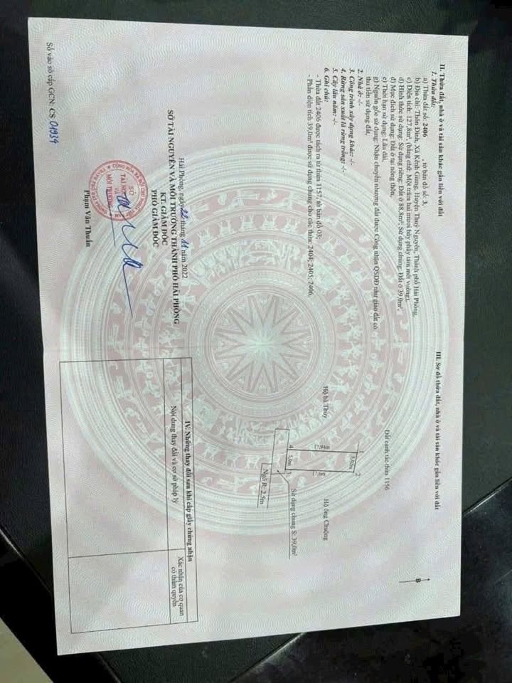 Đất nền Kênh Giang, Thủy Nguyên 88.8m² giá 800 triệu - Mặt tiền 5m, ô tô đỗ cửa!