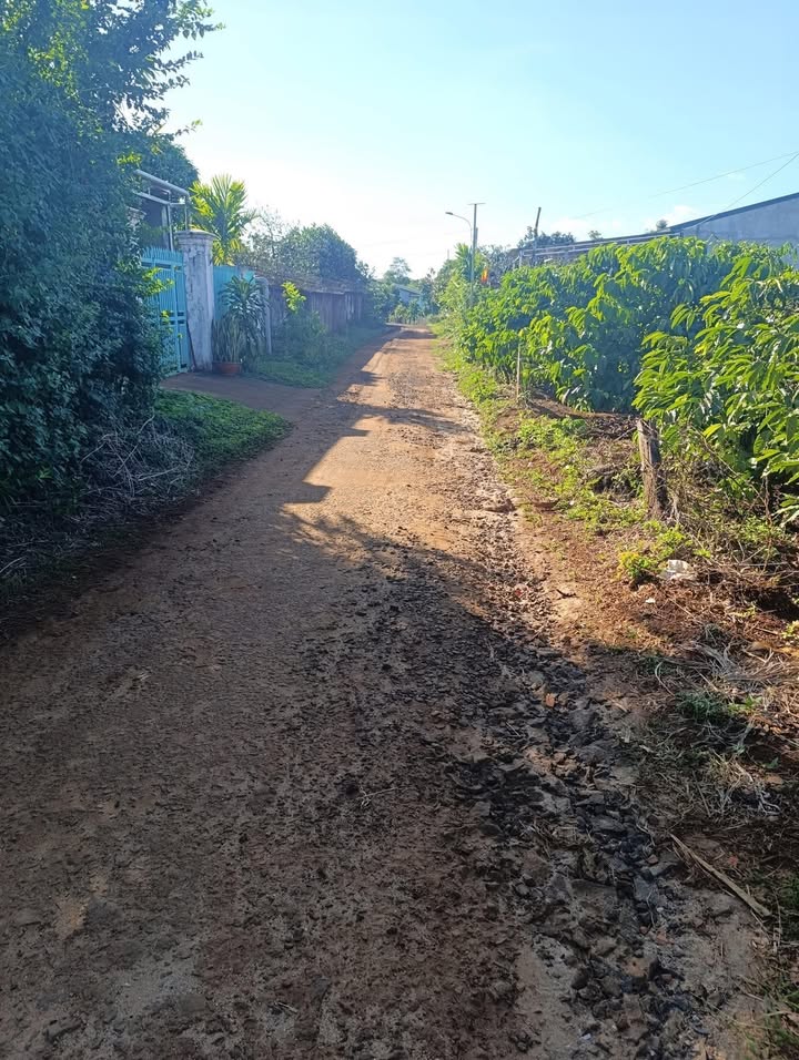 Đất nền Chư Prông 750m² giá 1 tỷ - Cơ hội đầu tư hấp dẫn!