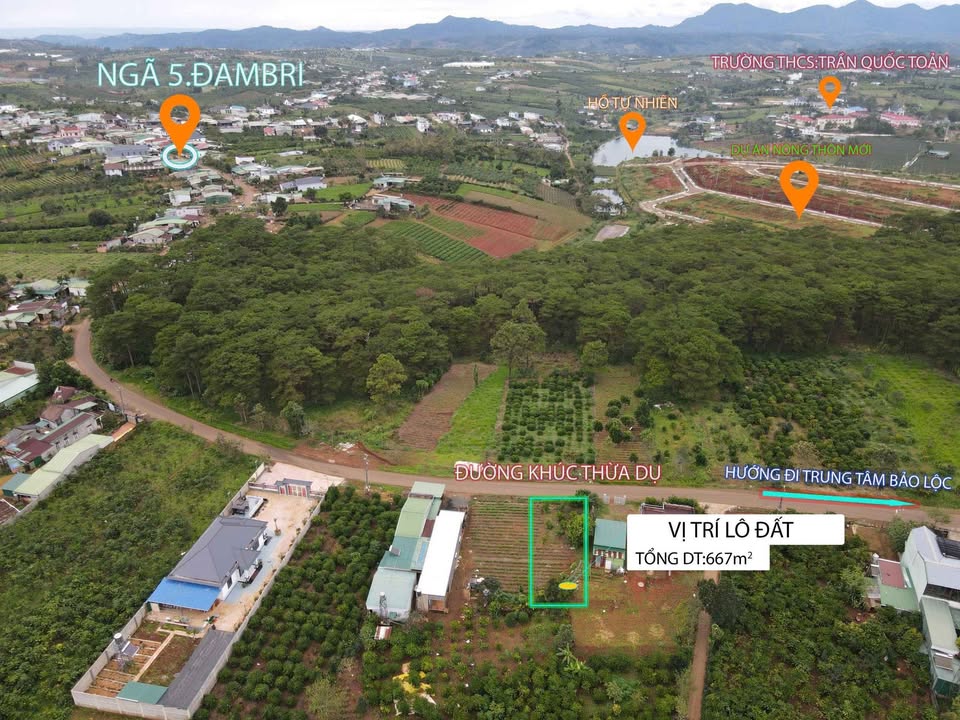 Đất nền mặt tiền Khúc Thừa Dụ, Bảo Lộc 667m² - Pháp lý rõ ràng, đầu tư sinh lời!