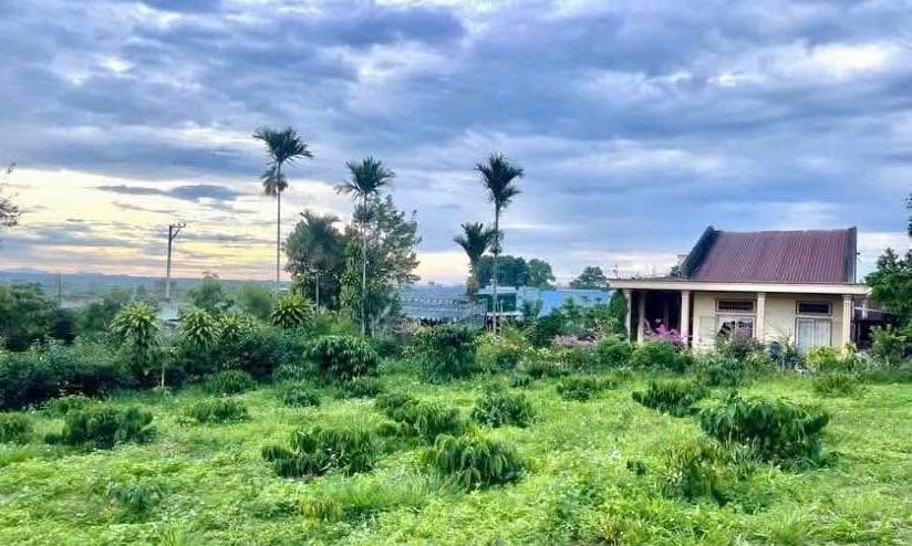 Đất mặt tiền Quốc lộ 20, Lộc An 3672m² giá 13 tỷ - Kinh doanh sầm uất!