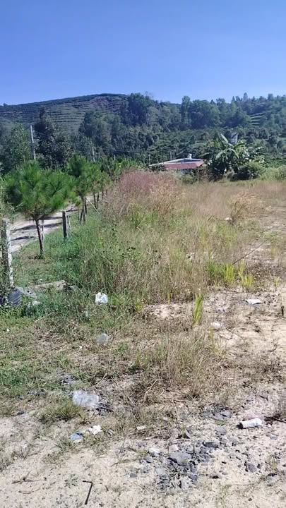 Đất mặt tiền đường Thi Sách, Đại Lào, Bảo Lộc 5400m² giá 2.3 tỷ - Chính chủ bán gấp!