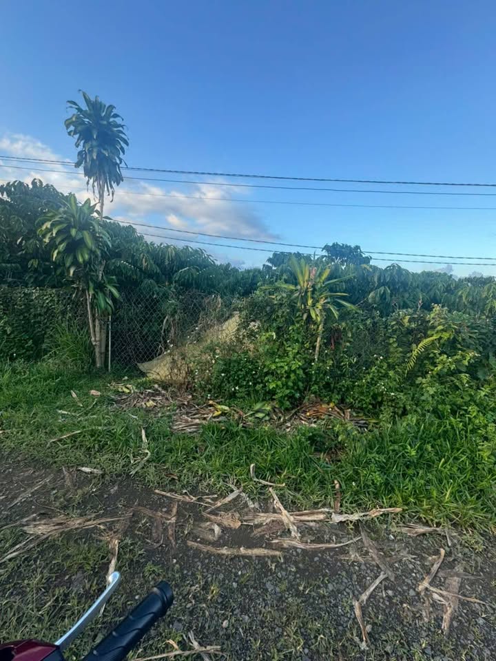 Đất nền Lộc Châu Bảo Lộc 1,7 sào giá 2,5 tỷ - Cách đường Đinh Công Tráng chỉ 100m!