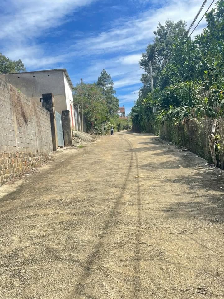 Đất nền phường Lộc Sơn, Bảo Lộc 597m² giá chỉ 1.5 tỷ - Cơ hội đầu tư tuyệt vời!