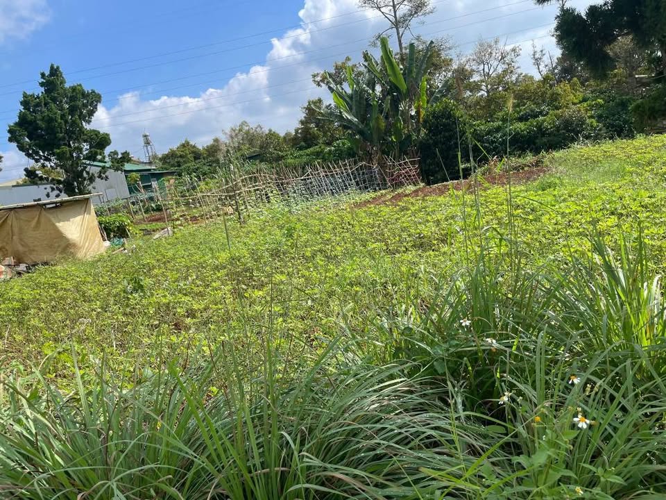 Đất nền lô góc 2 mặt tiền Trần Hưng Đạo, 336m² giá 1.85 tỷ - Đầu tư sinh lời ngay!