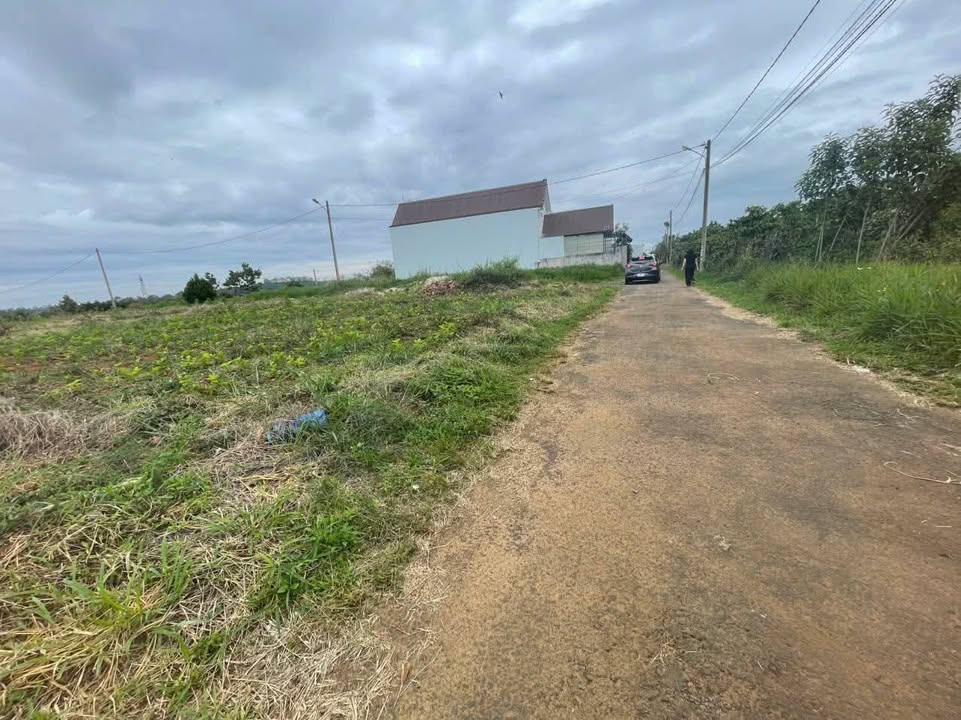 Đất nền liền kề hẻm Nguyễn Trãi, Bảo Lộc 6.23m² giá 1.39 tỷ - Cơ hội đầu tư hấp dẫn!