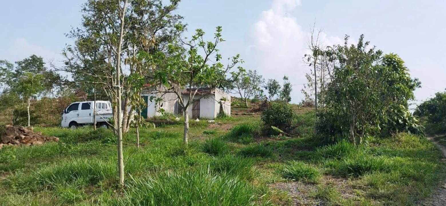 Đất Hòa Nam Di Linh 9086m² giá 370 triệu - Pháp lý rõ ràng, có nhà ở ngay!