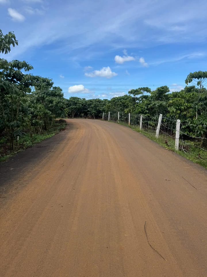 Đất nền 1200m² Lộc Phát - Giá 1,5 tỷ - Pháp lý rõ ràng