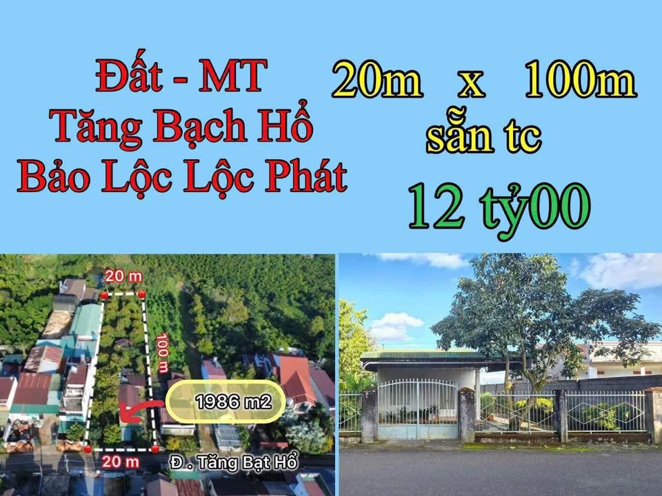 Nhà mặt tiền Tăng Bạch Hổ Bảo Lộc 2000m² giá 12 tỷ - Gần chợ Thánh Mẫu!