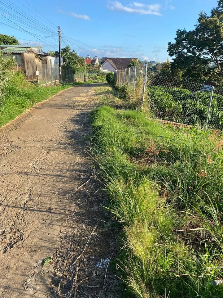 Đất nền Bảo Lộc 504m² - Giá 2.8 tỷ, Sổ hồng chính chủ, Đầu tư ngay!