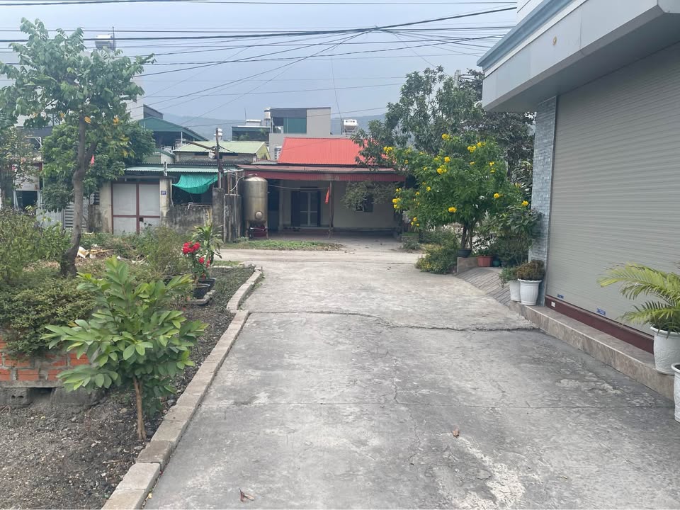 Đất nền Cẩm Sơn, Cẩm Phả 54,5m² giá 1,1 tỷ - Cơ hội đầu tư tuyệt vời!