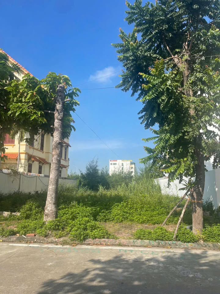 Biệt thự Glemxico Bãi Cháy 312m² giá 7 tỷ - Cách biển chỉ 3 bước chân!