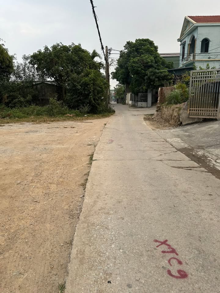 Đất nền Việt Hưng Hạ Long 48.5m² giá 8xx triệu - Đường ô tô tránh nhau, kinh doanh tốt!