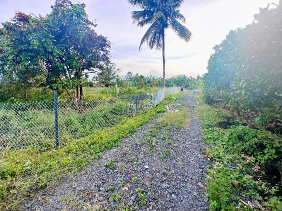 Đất nền chính chủ tại Phú Thịnh, Tân Phú - 2000m² chỉ 335 triệu - Cơ hội đầu tư tuyệt vời!