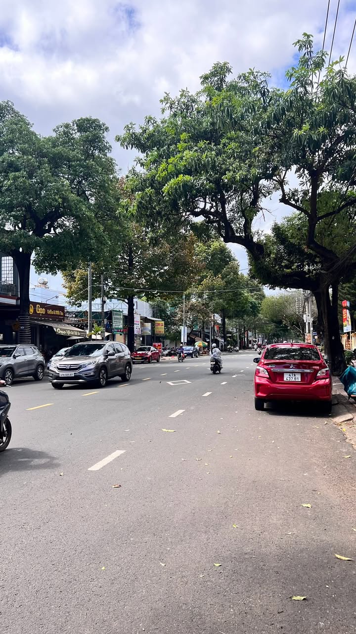 Mặt tiền kinh doanh Đường Đặng Thái Thân, Buôn Ma Thuột 100m² giá 6.5 tỷ - Cơ hội đầu tư tuyệt vời!