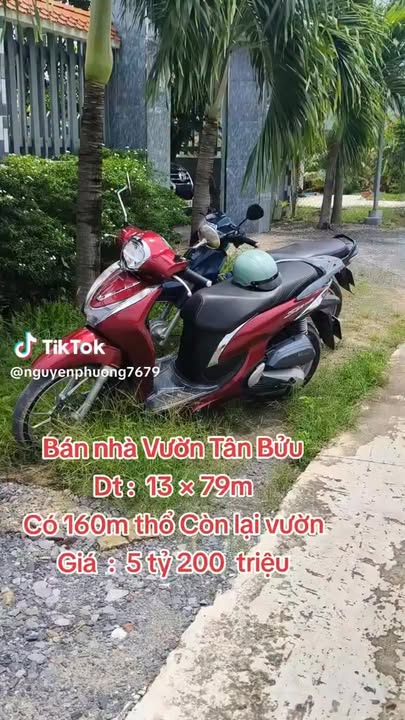 Đất nền Tân Bửu Bến Lức 1000m² giá 5.2 tỷ - Đầu tư sinh lời ngay!