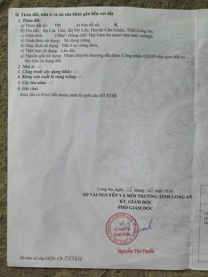 Đất thổ cư mặt tiền 835B xã Mỹ Lộc, huyện Cần Giuộc, 238m² giá 4.5 tỷ - Cơ hội đầu tư tuyệt vời!