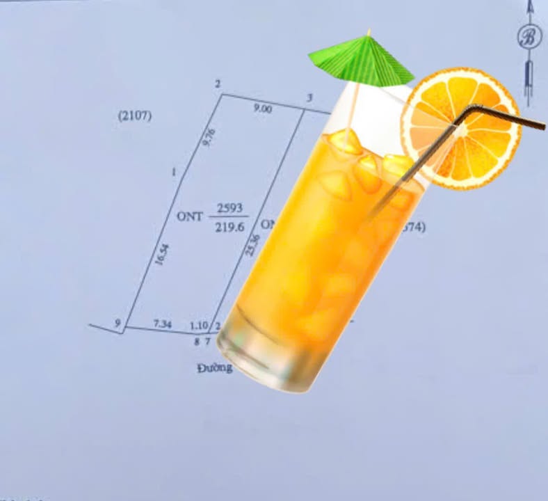 Đất Hưng Nghĩa 219m² giá 1.3 tỷ - Cơ hội đầu tư tuyệt vời!