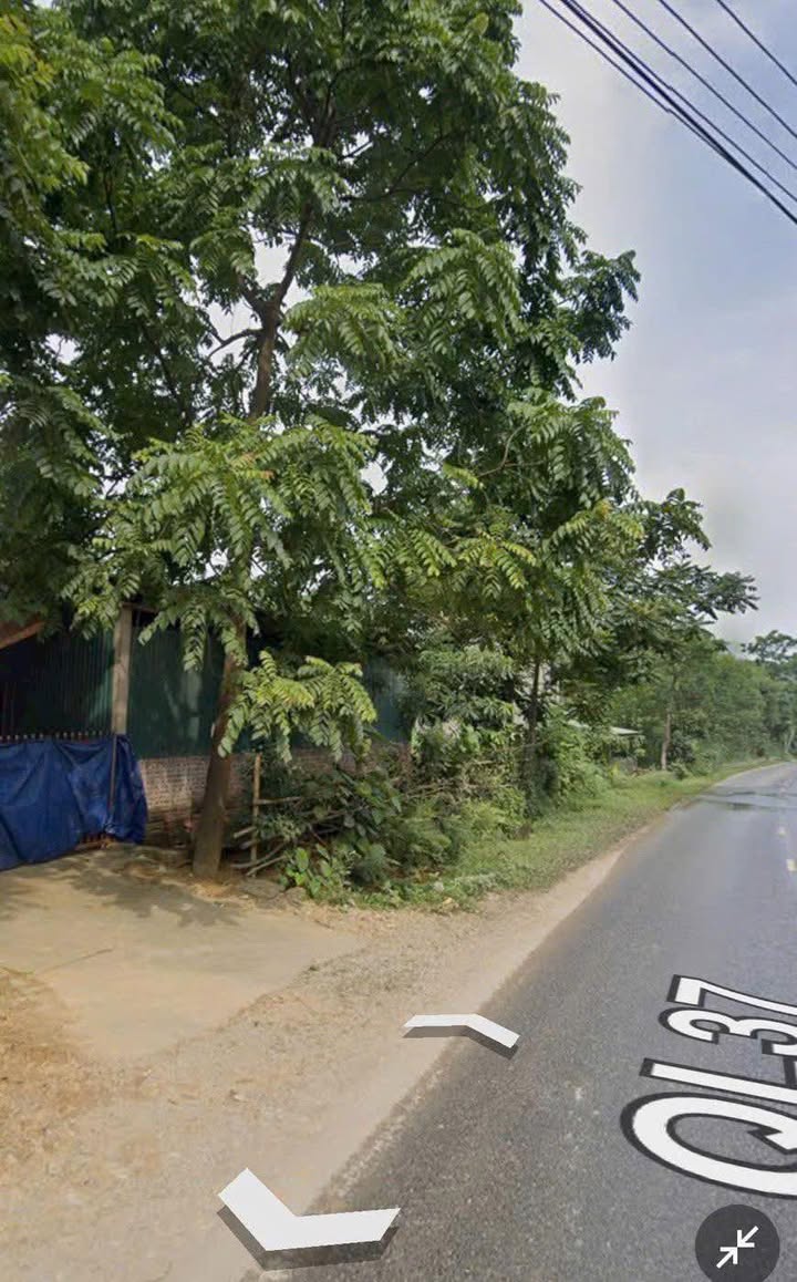 Đất thổ cư 574m² Quốc lộ 37, Sơn Dương - Đầu tư sinh lời ngay!
