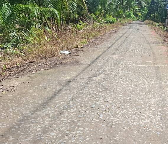 Đất thổ cư 3.300m² tại xã Phước Mỹ Trung, Mỏ Cày Bắc - Giá chỉ 850 triệu VND!