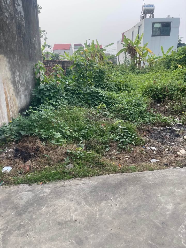 Đất nền Quang Minh Mê Linh 62m² giá 1.9 tỷ - Tiềm năng đầu tư lớn!