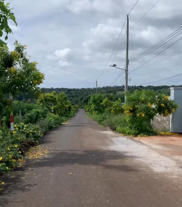 Đất nền 3398m² xã Láng Lớn, Châu Đức - Phù hợp nghỉ dưỡng và nhà vườn!