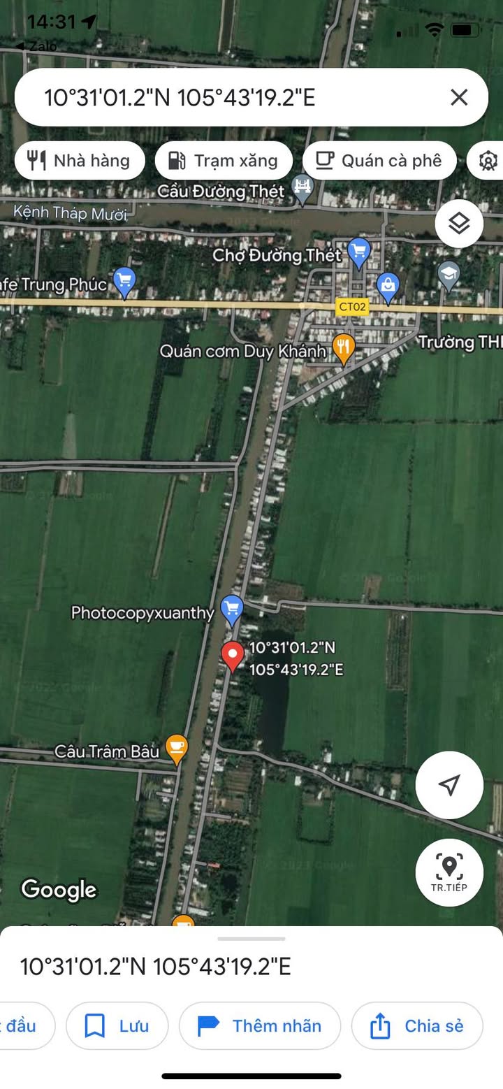 Đất mặt tiền Hồ Chí Minh tại Tháp Mười, Đồng Tháp 432m² chỉ 1.6 tỷ - Đầu tư sinh lời ngay!