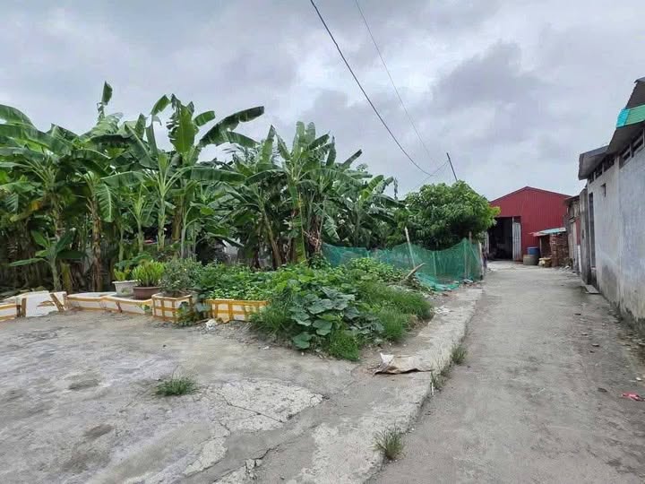 Bán đất Vũ Hộ Dương Kinh 120m² - Sổ đỏ chính chủ, giá tốt cho nhà đầu tư!