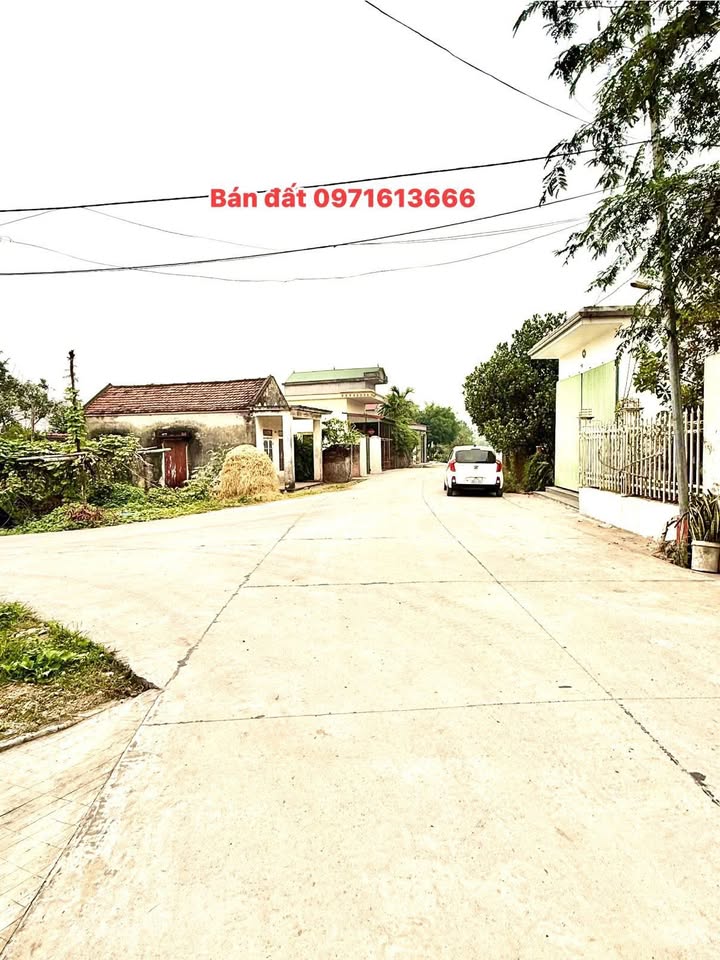 Đất nền Kim Sơn Ninh Bình 155m² giá 1 tỷ - Vị trí kinh doanh đắc địa!