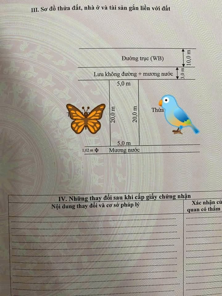 Đất thổ cư Quỳnh Lưu 100m² giá đầu tư - Bám đường WB Phú Lộc