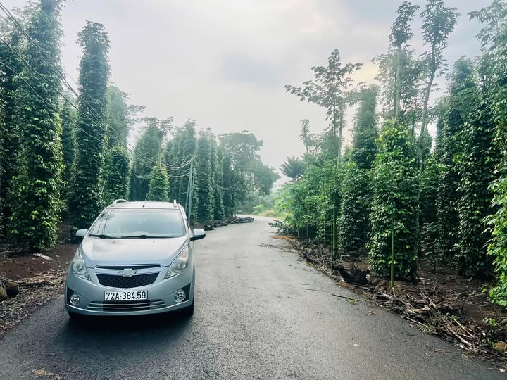 Đất Bàu Lâm, Xuyên Mộc 1000m² giá 520 triệu - Đầu tư sinh lời ngay!