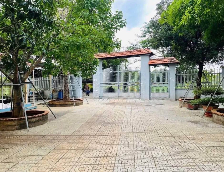 Nhà vườn Bình Mỹ, Củ Chi 2200m² - Đầu tư nghỉ dưỡng lý tưởng!