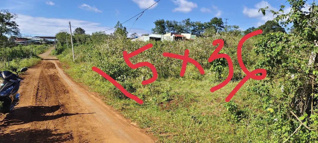 Đất thổ cư phường Chi Lăng, Pleiku 180m² giá 600 triệu - Cơ hội đầu tư hấp dẫn!