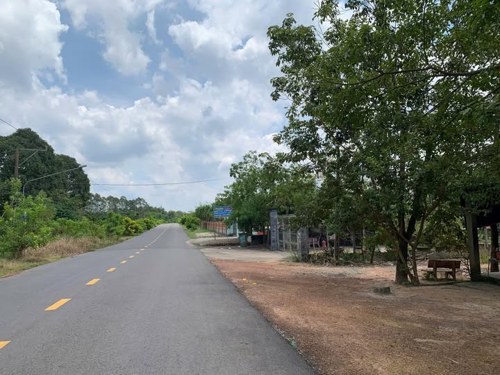 Đất nền Bàu Bàng 5000m² giá 13 tỷ - Pháp lý rõ ràng, đầu tư sinh lời!