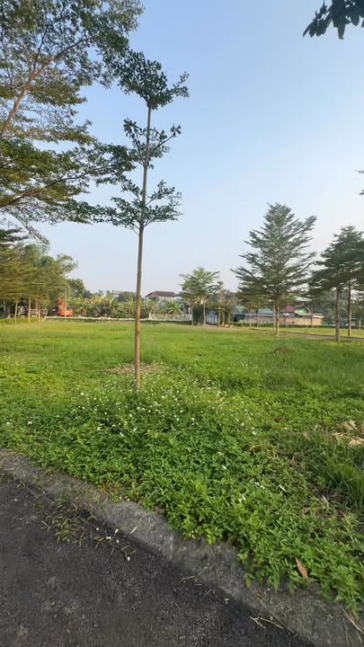 Đất nền lô góc 159m² khu biệt thự Phú Gia Quốc Oai - Giá 4 tỷ, đầu tư sinh lời!