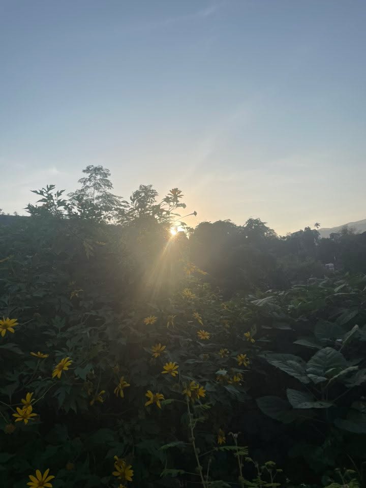 Đất nền Đông Xuân Quốc Oai 450m² giá chỉ 1x tỷ - Tiềm năng đầu tư hấp dẫn!