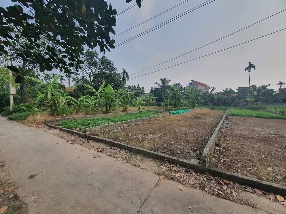 Đất nền Tri Thủy, Phú Xuyên 91m² giá 1.48 tỷ - Tiềm năng sinh lời cao!