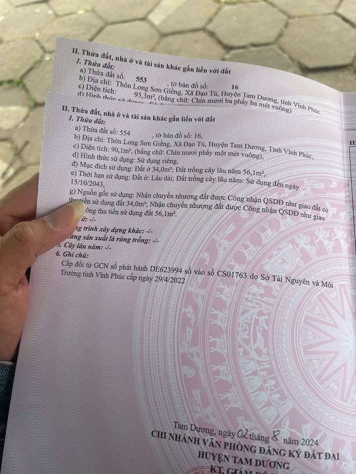 Đất nền thôn Long Sơn Giềng, Tam Dương 93m² giá 1.1 tỷ - Đầu tư sinh lời cao!