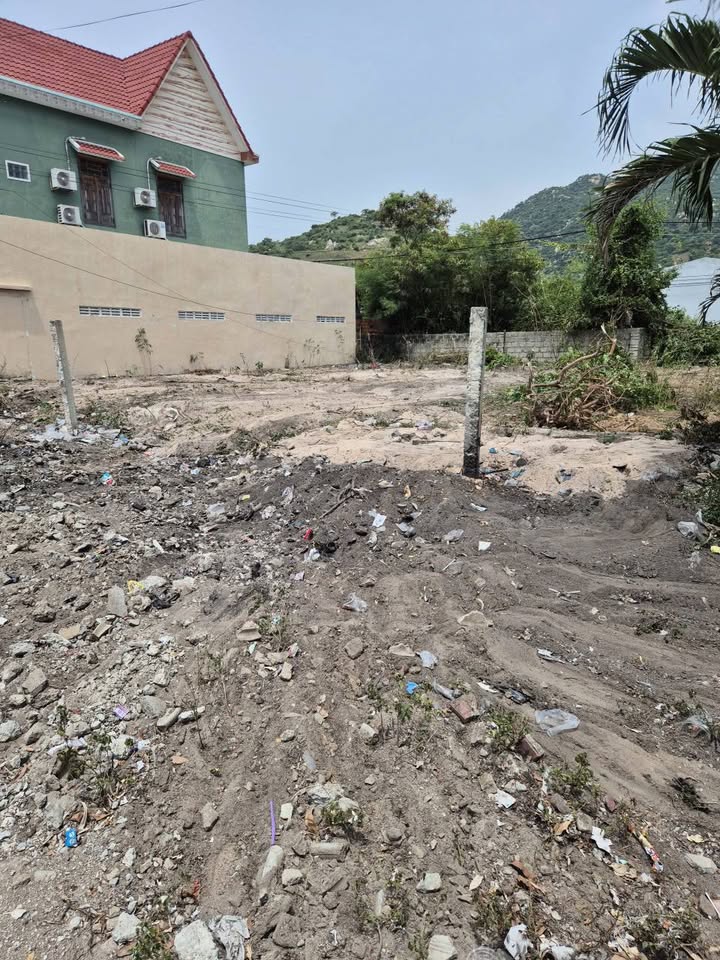 Đất mặt tiền QL1A thôn Lạc Sơn 3, 309m² giá 67.98 tỷ - Sổ đỏ chính chủ!